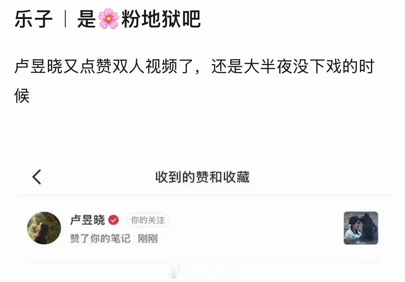 卢昱晓也是蛮我行我素的，被拷打了那么多次点赞历任合作男主双人视频但不改，是何意味