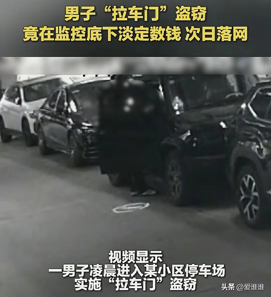 “怂包小偷！”男子拉车门盗窃，怕被逮到坐牢，万元现金不敢拿，只敢拿个装有320块