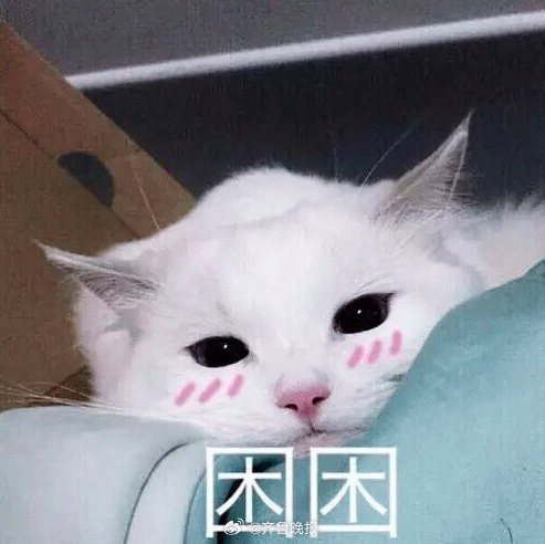 忙碌和早睡是治愈心疾的良方，记得早睡少熬夜！#晚安# ​​​