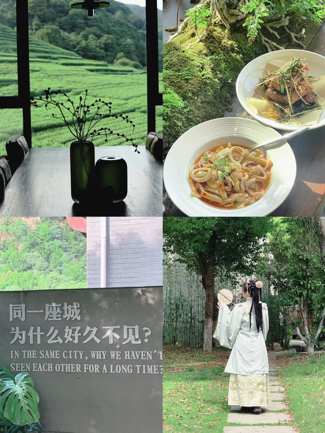在杭州😊去过会念念难忘的咖啡馆