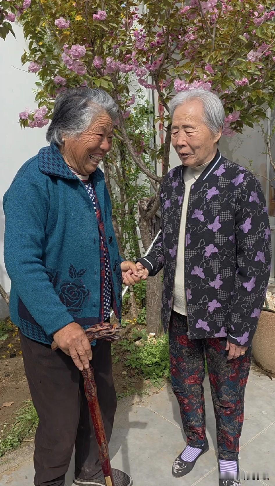 很快要离开了，乡邻们都来聊天……

40多天的村居，从初春到仲春，无论我还是老母