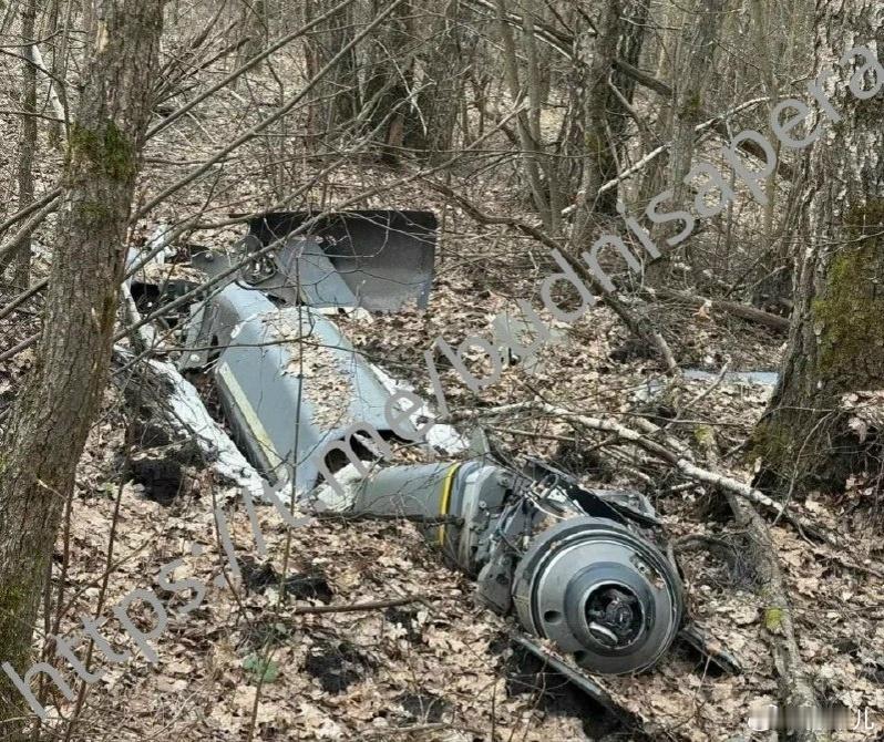 在前线区域被俄军击落的英法风暴阴影/SCALP-EG巡航导弹。 