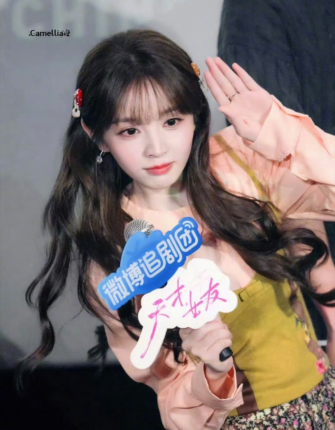 #咪咕星鲜事##田曦薇小猫敬礼萌哭了# 所有人都来看这只世萌一小猫！萌力出击，已