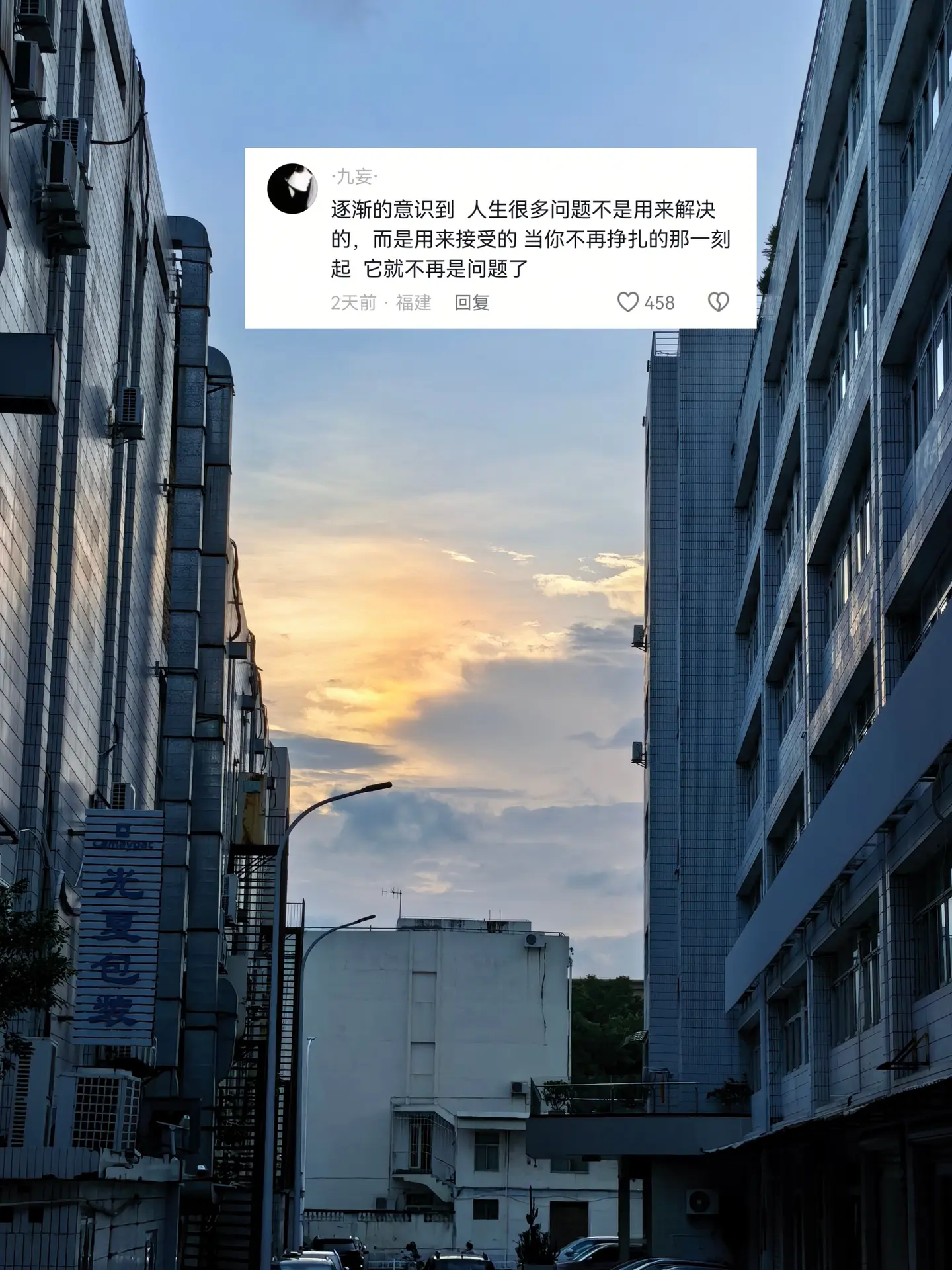 我们总想着摆平一切麻烦，后来才懂，很多遗憾、无奈与落差，本就无法被解决...