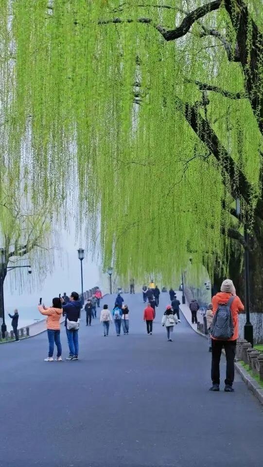 加满一箱油，各国均不同，电车无敌？汽车 
美国：约需450元人民币。
日本：约需