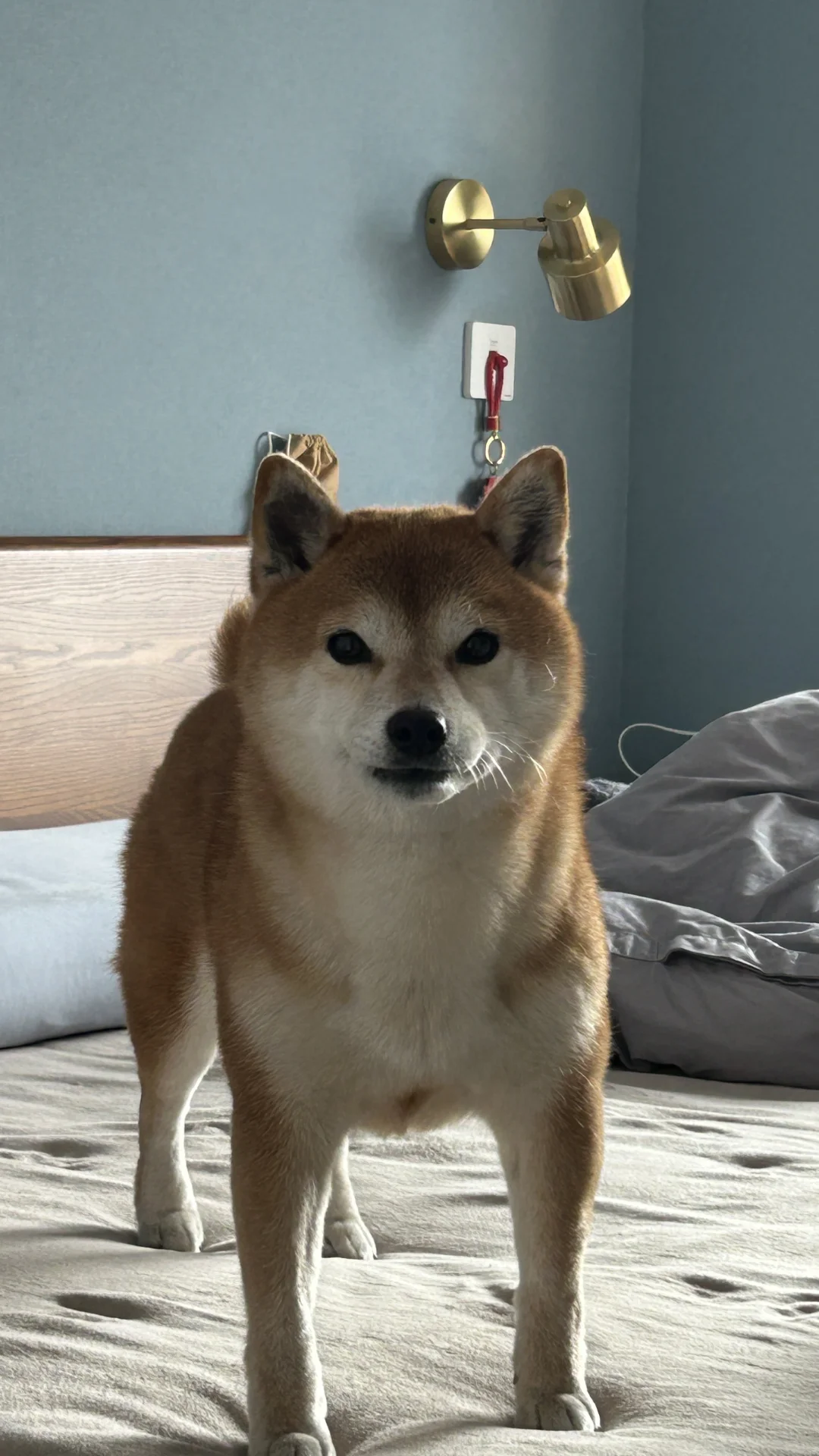 就睡你床，咋地