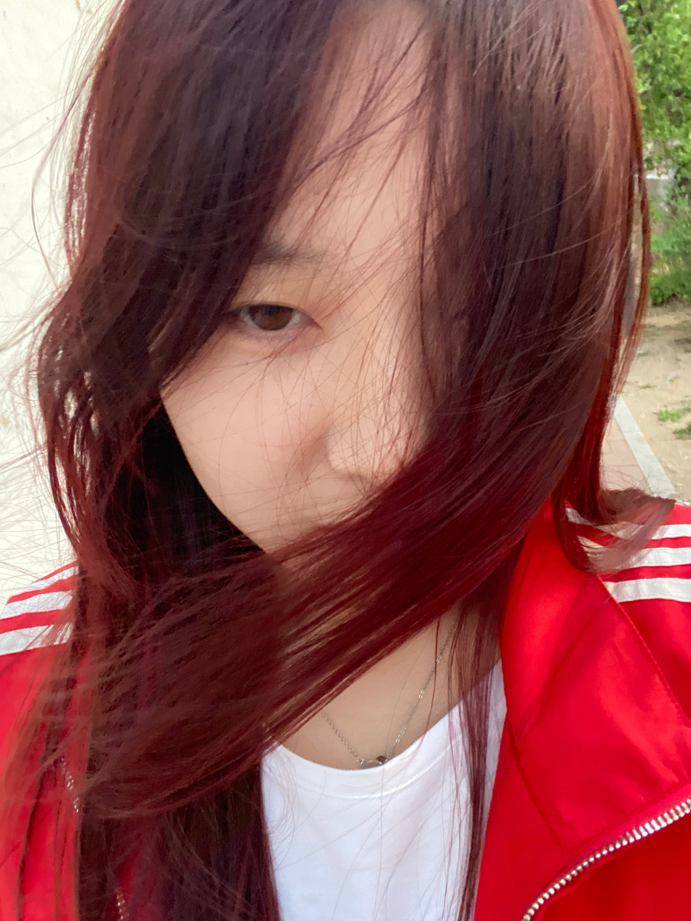 春天也太爱刮风了 