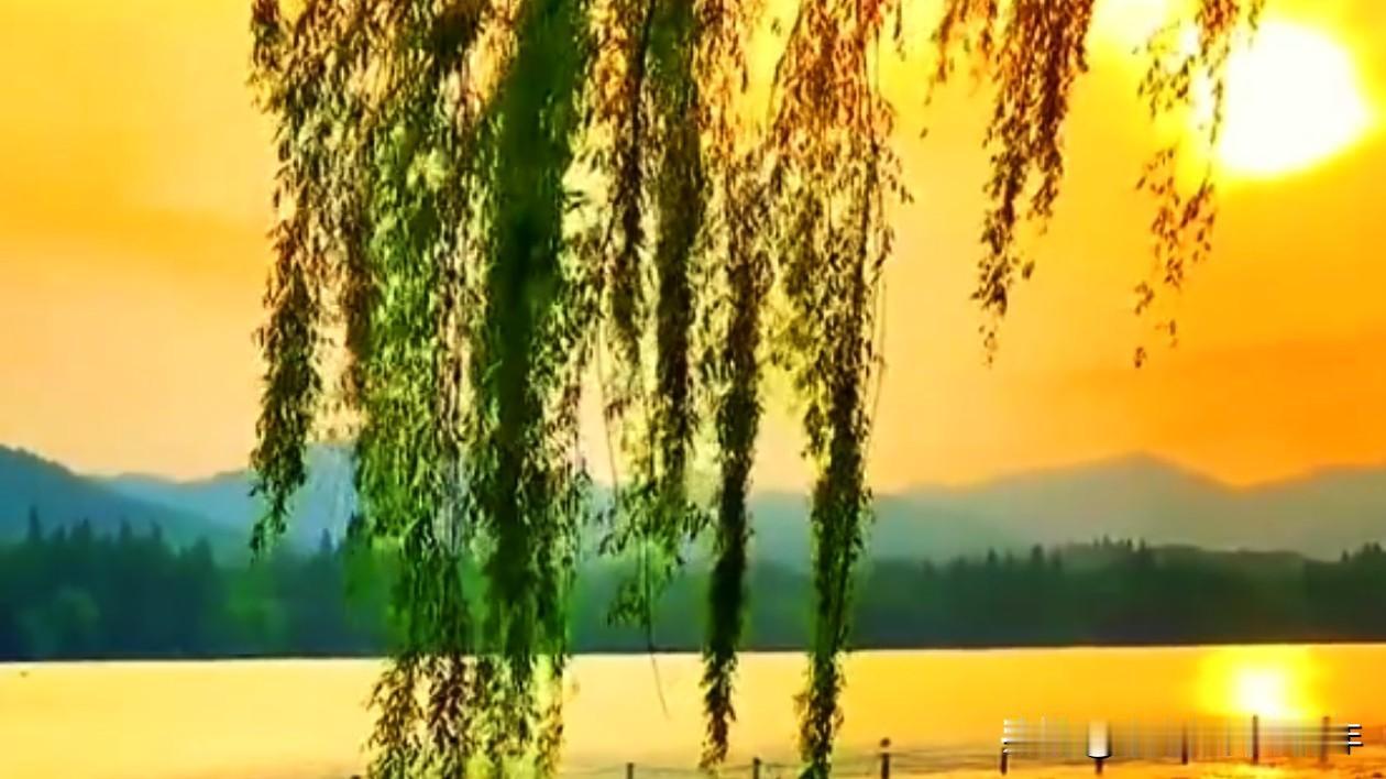 万物皆不完美，
人生总有缺陷。
遇到了喜欢的，
就大方去争取，
得到了，
就要好