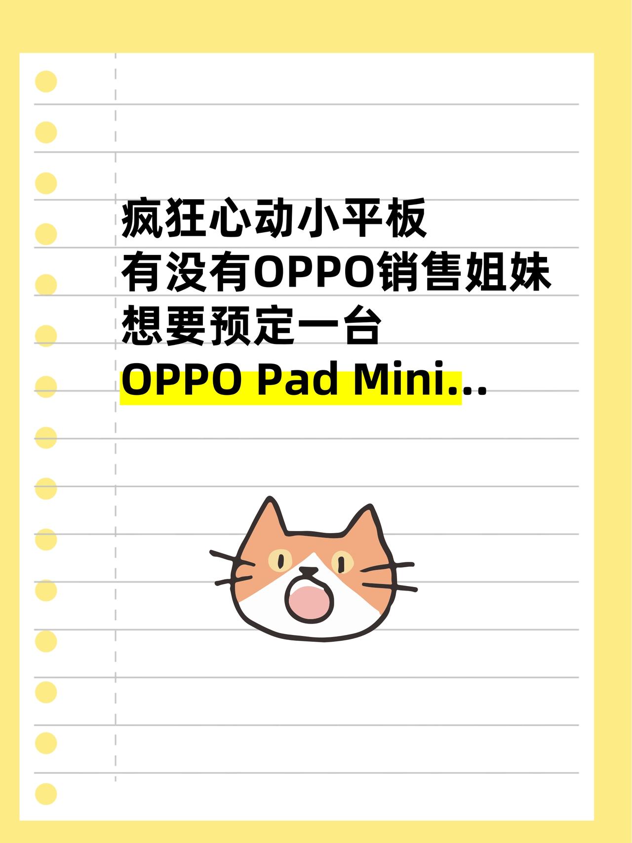 想预定OPPO小平板🙋有没有OPPO销售呀？
最近特别想入一个小平板
主要想用