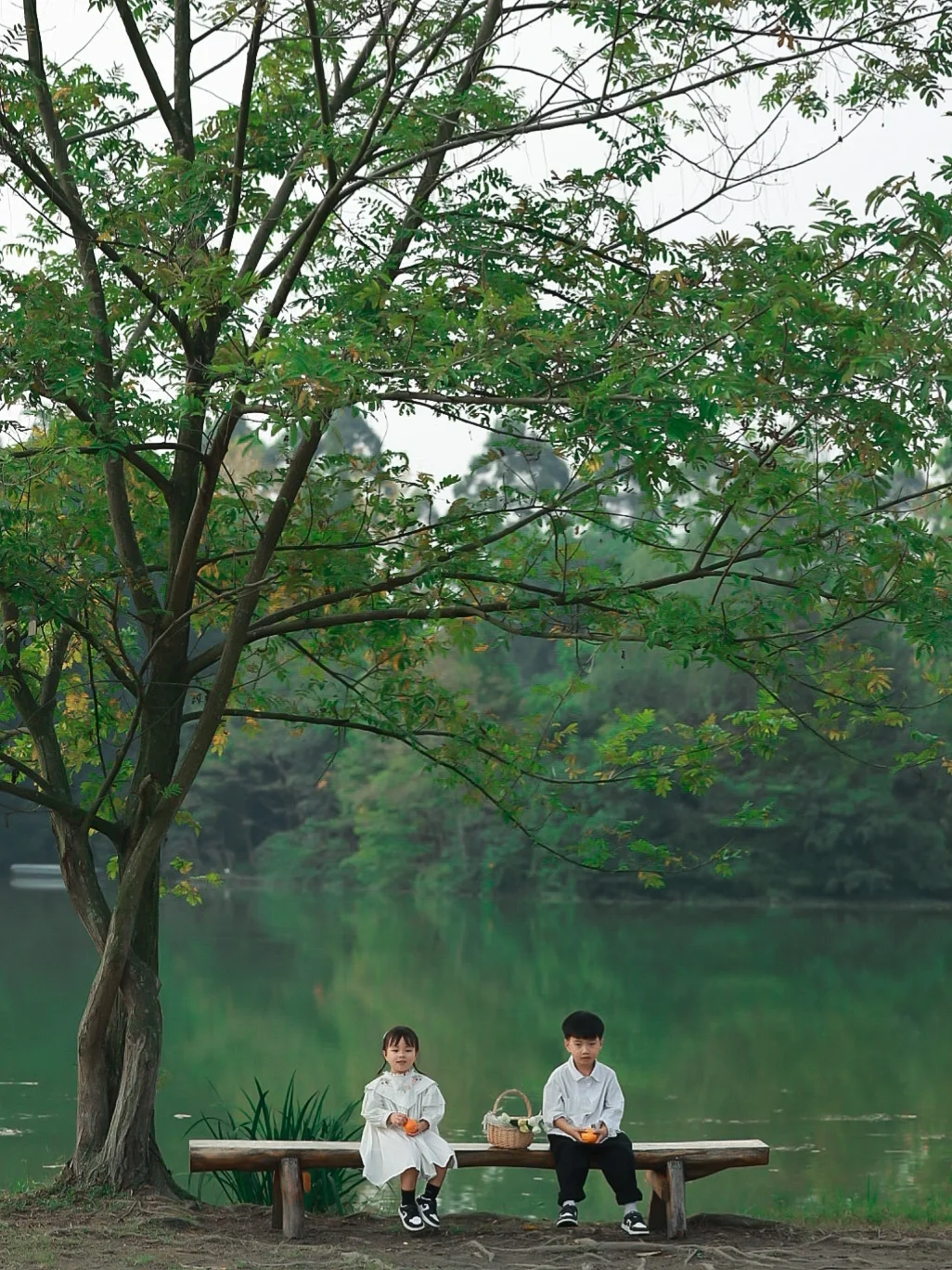 成都溜娃3⃣️2⃣️记｜有湖泊草坪大树的公园～🌳