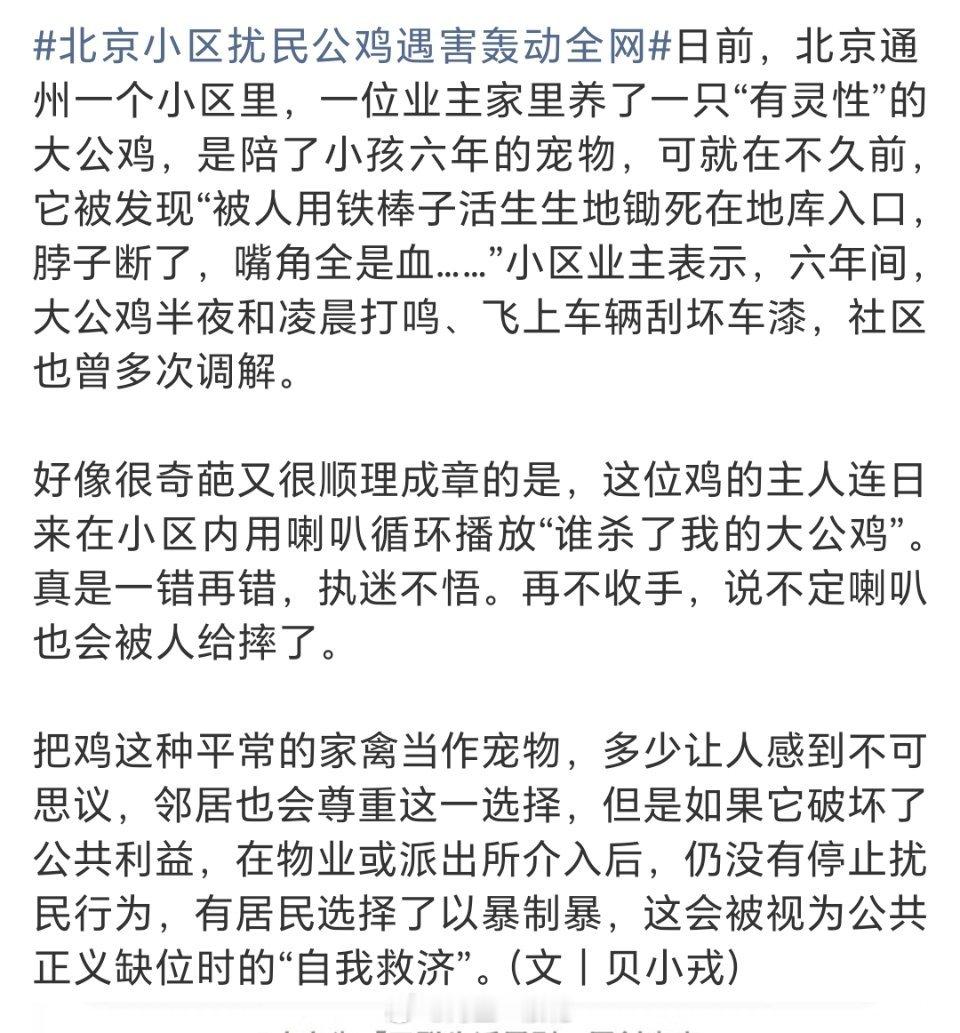 北京小区扰民公鸡遇害轰动全网80年代初，上海对城市养鸡没那么严格管理，宁波亲戚来
