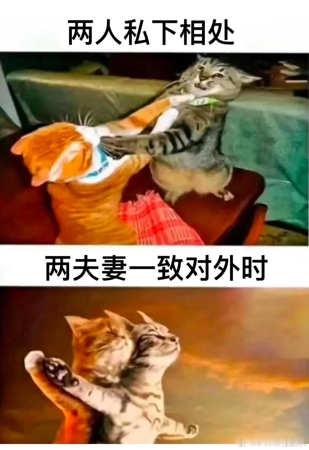 完全71素素概念： 