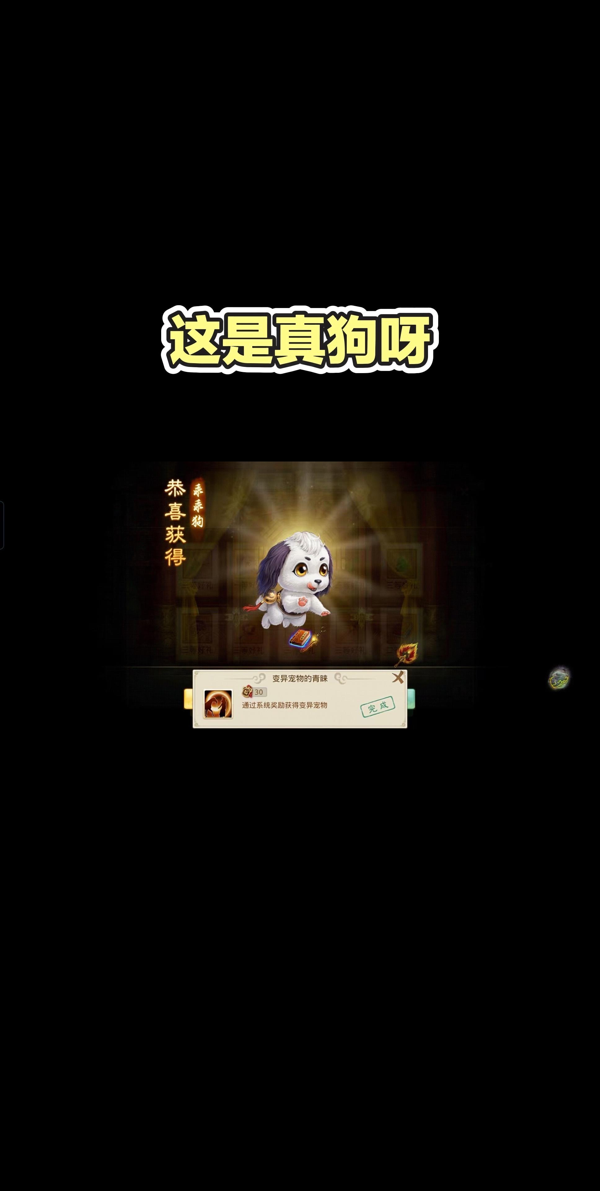 9周年一只小狗收入囊中