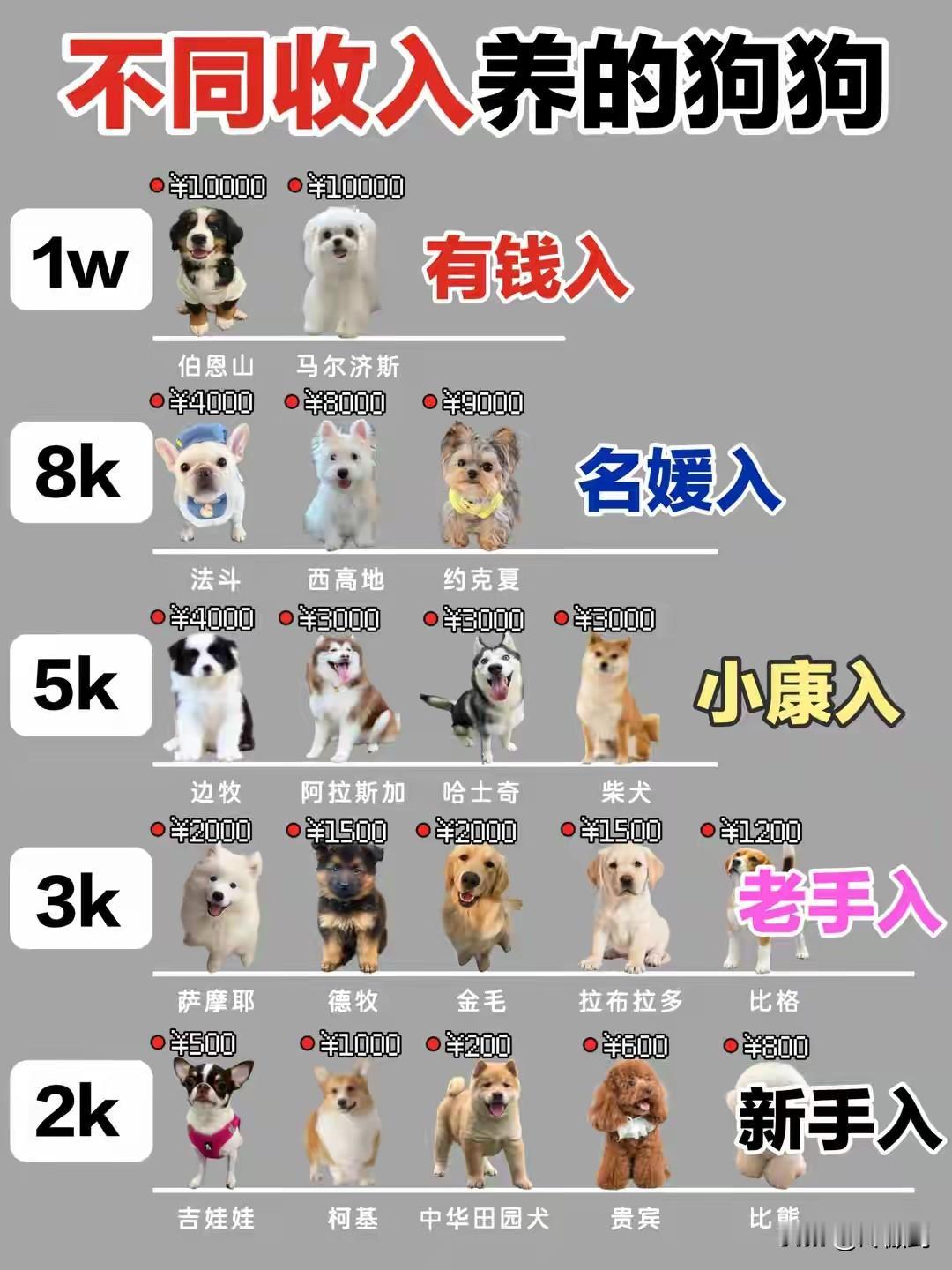 1.我收入1w

2.我想养金毛

1.2中有谎话，你觉得是哪个？