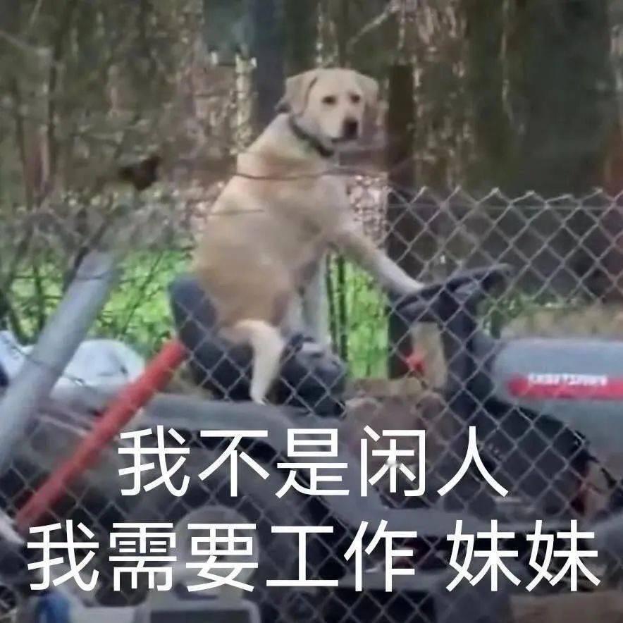 差点忘记第五天的打卡了！在现实中舌战群儒了#超话打卡星挑战# Day5 ​​​