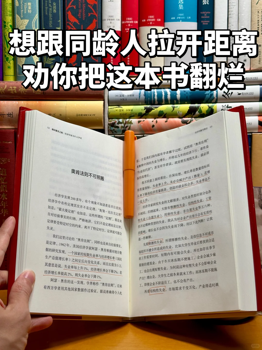 428页，25万字，这书刷新了我的认知‼️