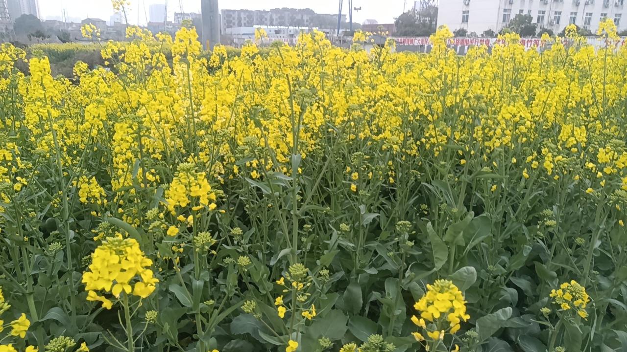 一段能走到一起的感情，本就是缘分与坚持的结果，想要长久安稳，靠的从不是一时热情，