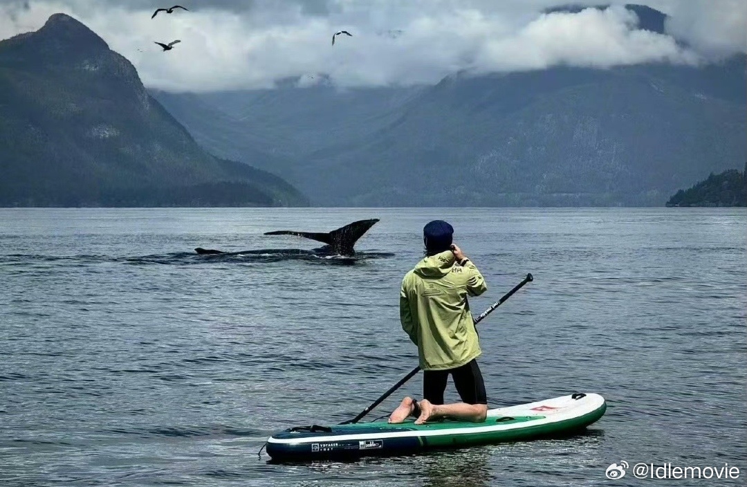 在《探索新境2》越山悦己，一截出神图，一帧即大片。王一博站姐 出图还是出命我有数