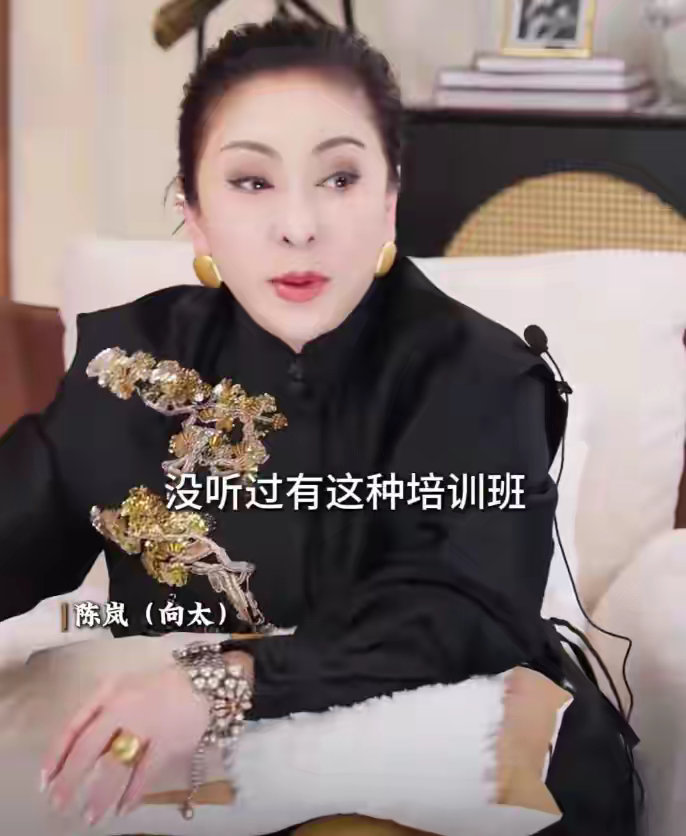 向太辟谣方媛是名媛班出身，爆料两人夫妻恩爱，执念为郭富城生儿子 