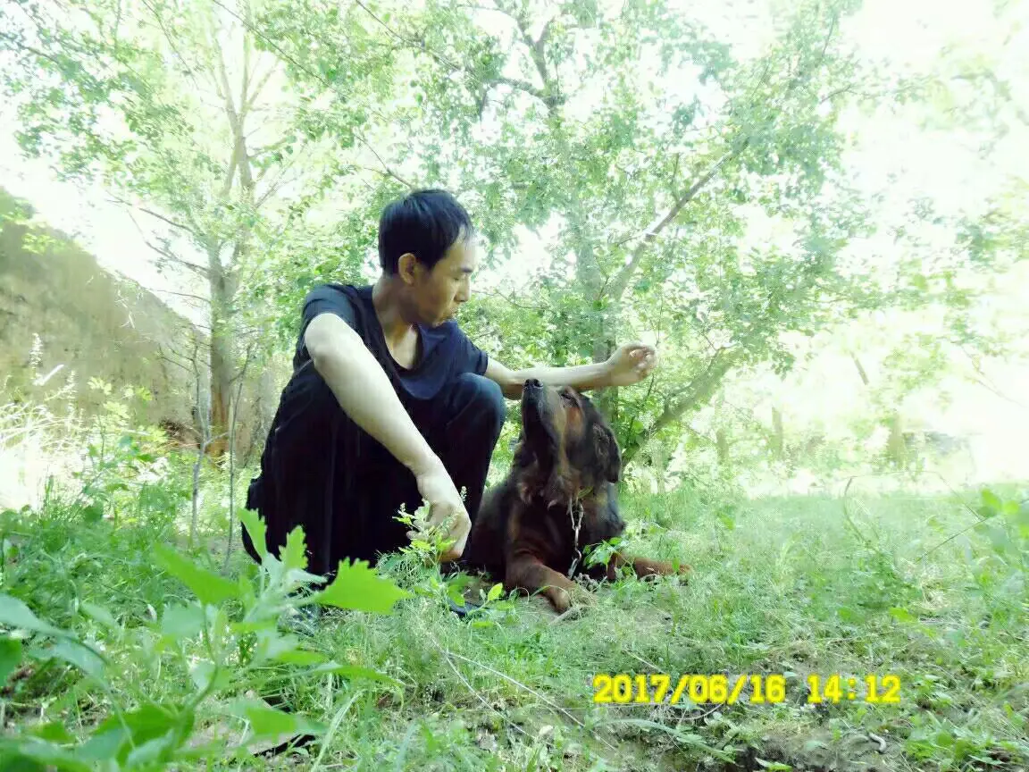 老照片勾起我心头之痛。