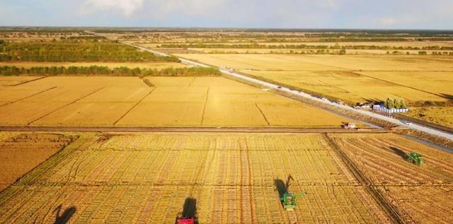 如果全球都停止出口粮食，中国能否自给自足？就这么说吧，中国停止粮食供应，全球至少