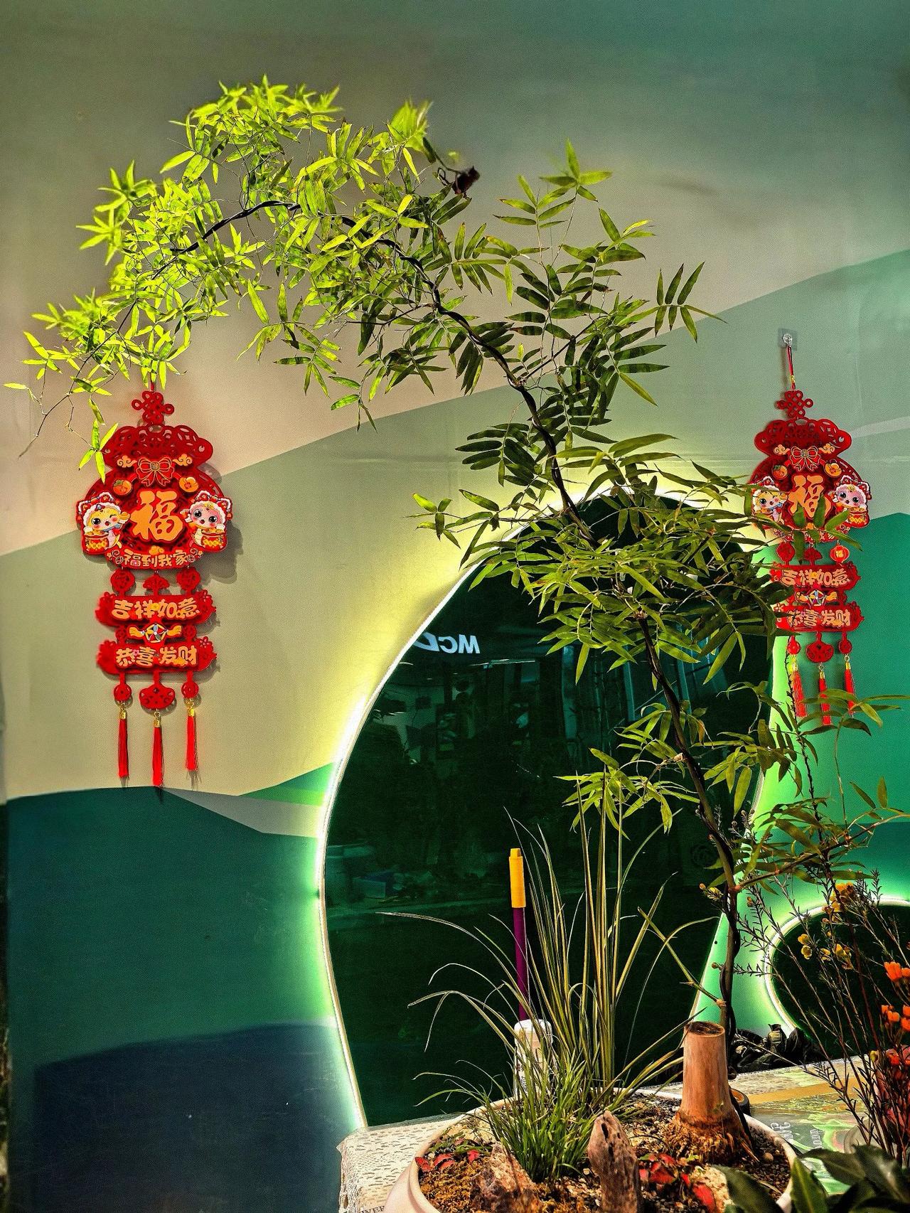 今年春节最想做的事给今日头条的友友们拜年，祝你们蛇年大吉大利、好运连连、作品多多