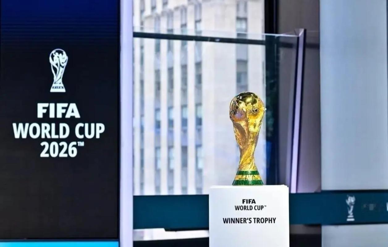 ⚽ 一张票一套房？体育赛事天价门票简史

国际足联官方转售平台上，标价229.9