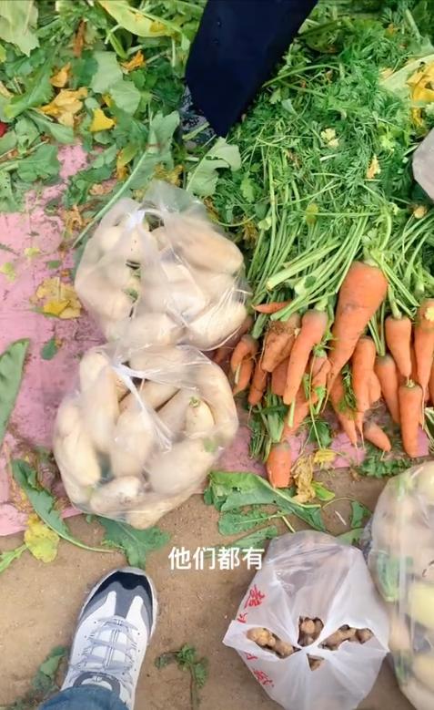 11月23日，山东小伙从大妈那买走60斤萝卜，收到大妈赠送的“腌萝卜秘方”，小伙