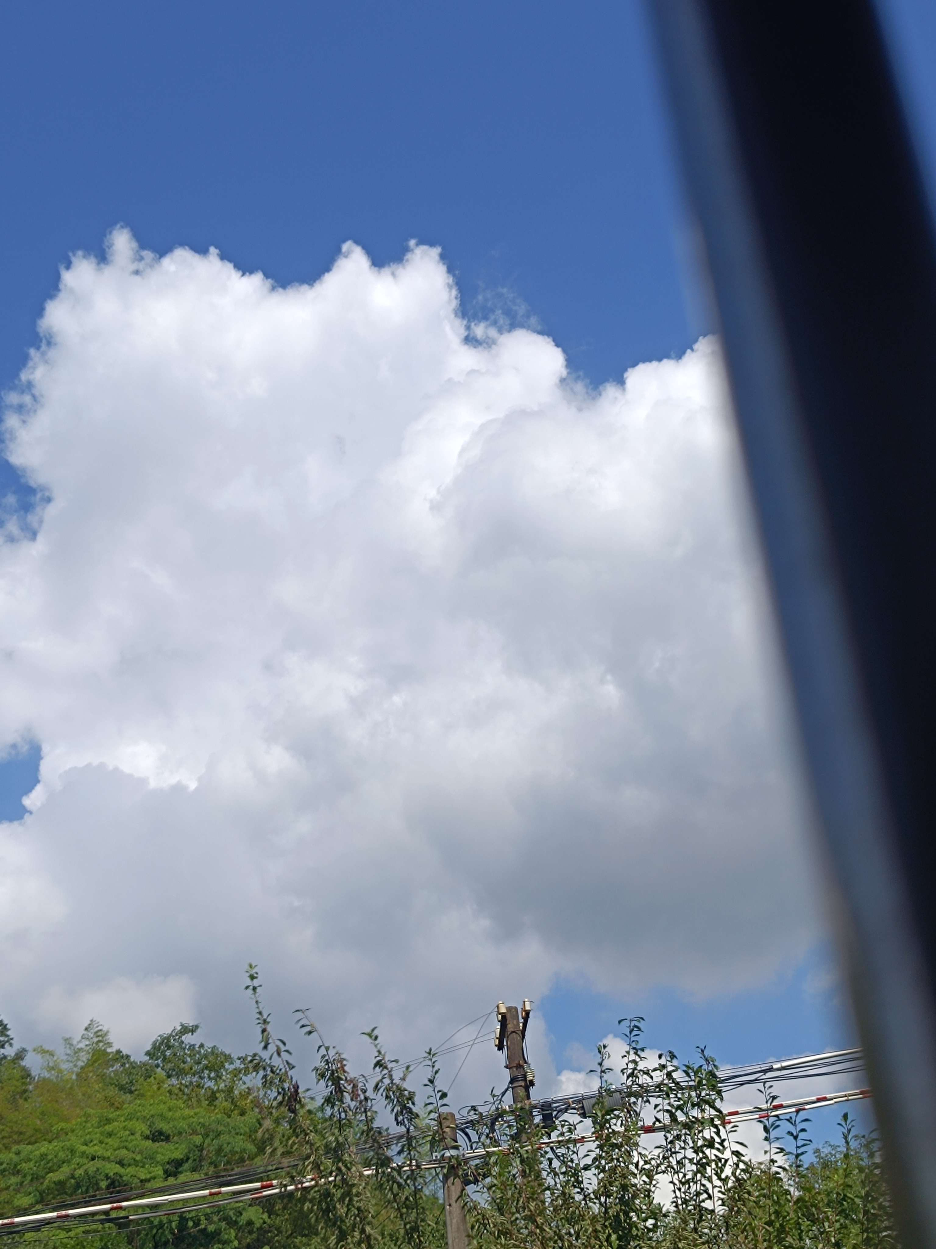 今日晴。 