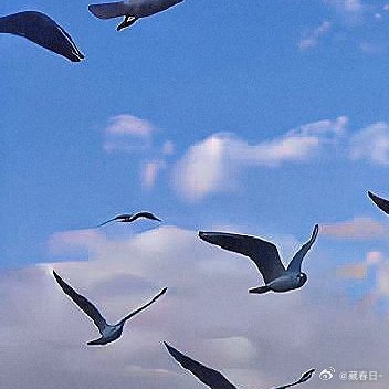 每日一善 愿你在岁月中沉淀温柔，在困境中练就勇敢，在相处中坚守善良。不纠结过往，