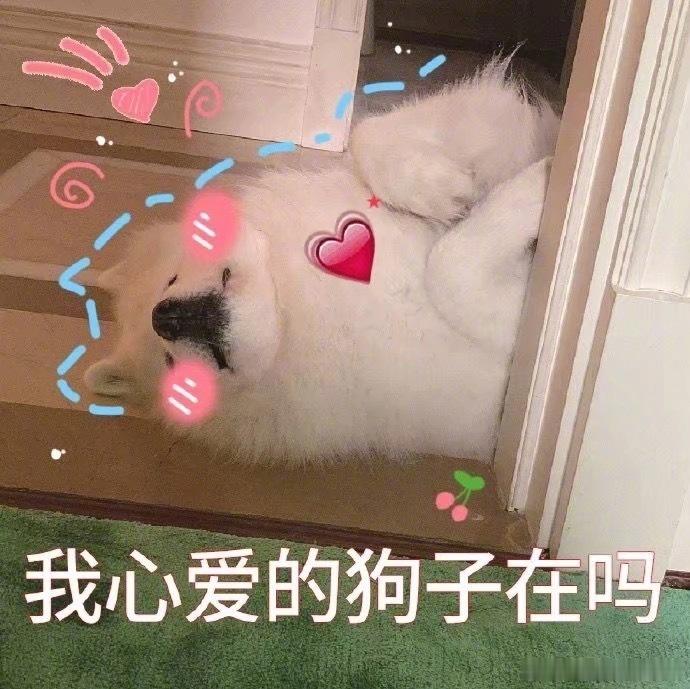 十二星座表达爱意的核心方式：情绪陪伴型：巨蟹、双鱼耐心倾听，接住所有负面情绪物质