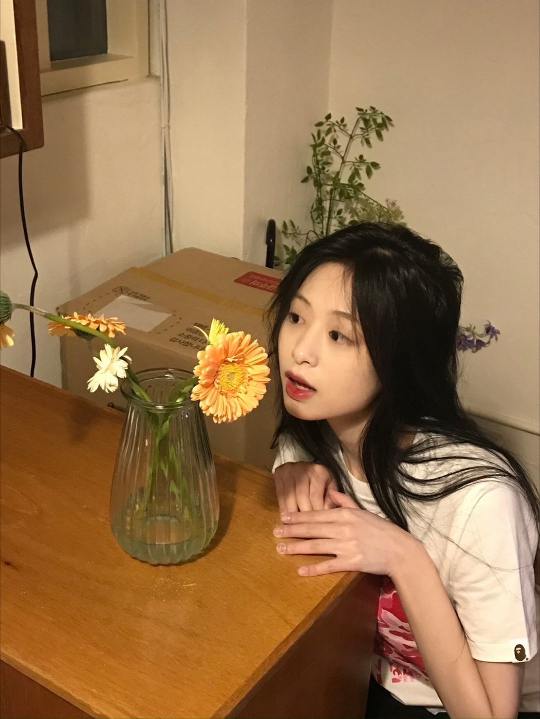 我的眼里只有你🌻 