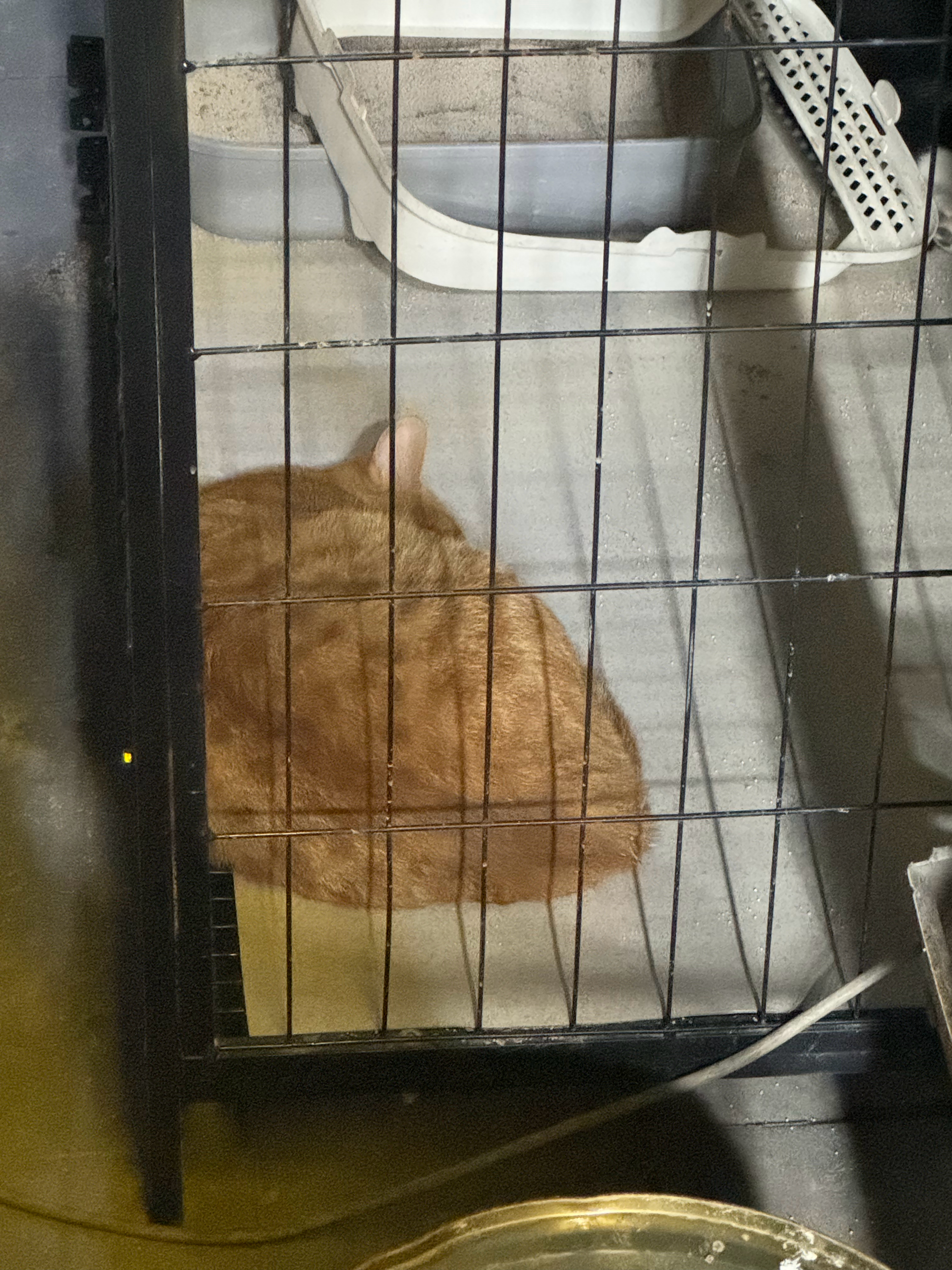 一坨 