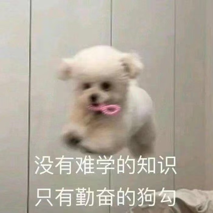 中国造出能灭火的花瓶 花瓶的主要功能已经从装饰变成了多功能。能灭火、能照明、还能