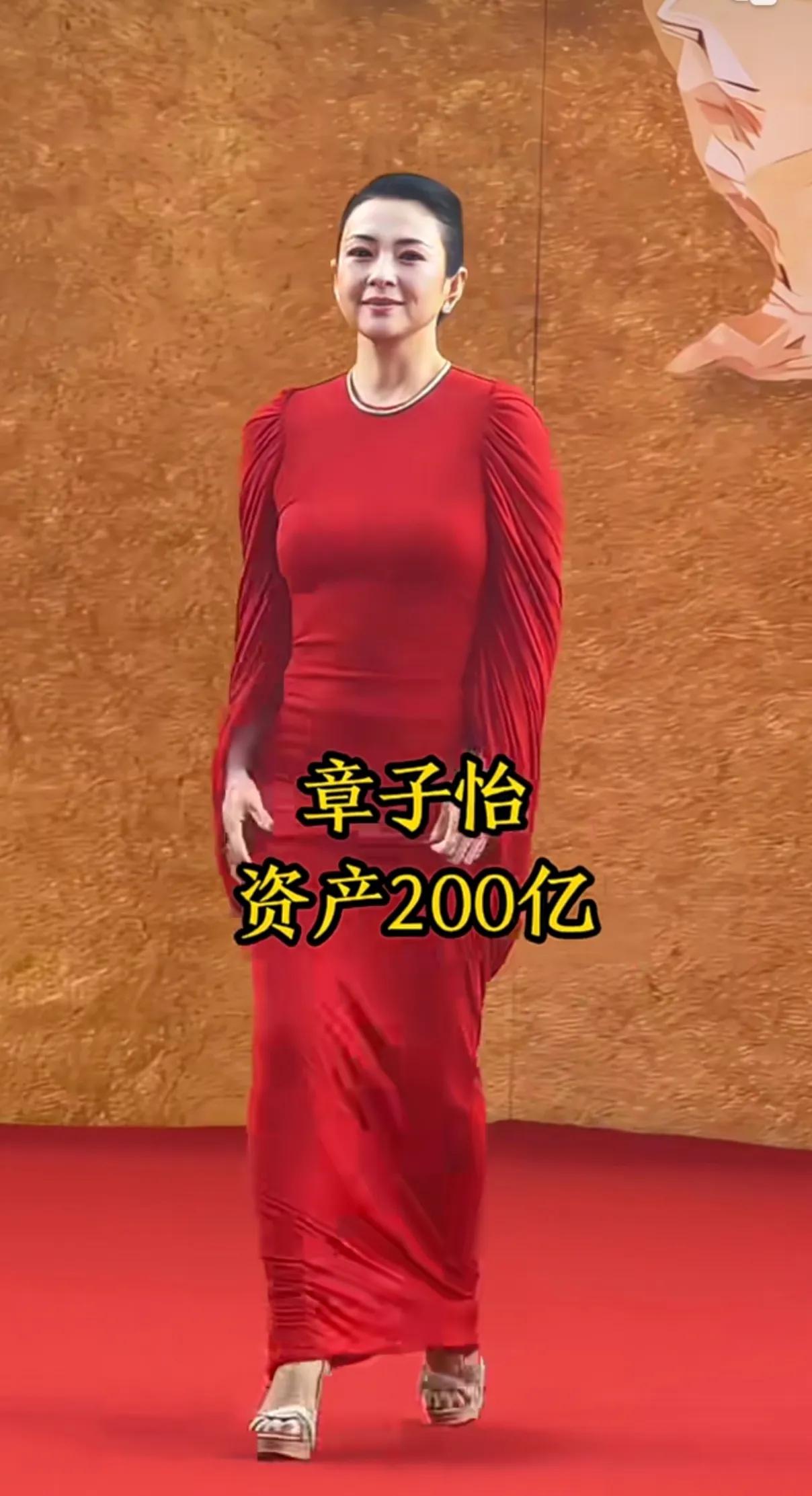 章子怡年纪越大越美，长胖了点，更有韵味。
明星的资产都是以亿来计算，是普通人可望