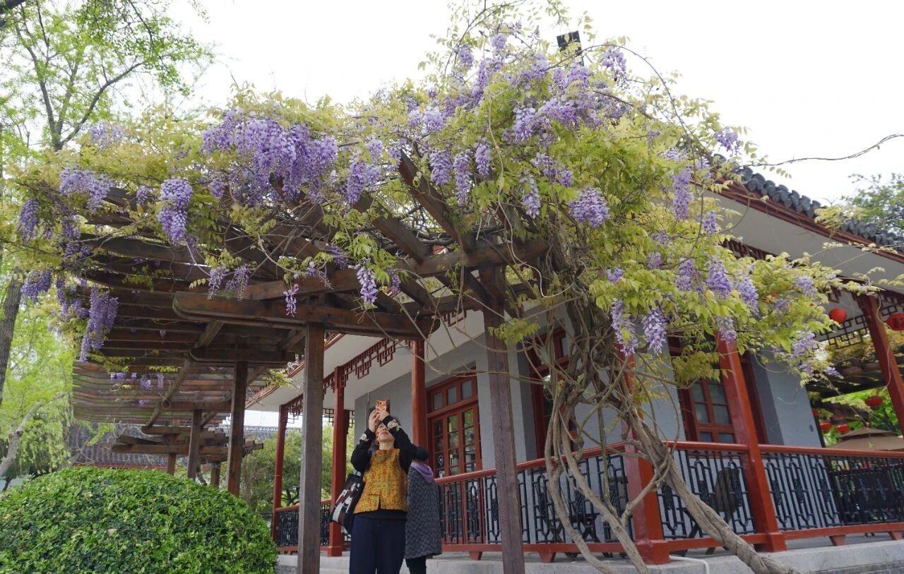 【雨水又要来了！】最近一段时间，通城被阴雨天气所笼罩，空气潮湿，衣物晾晒多日难干