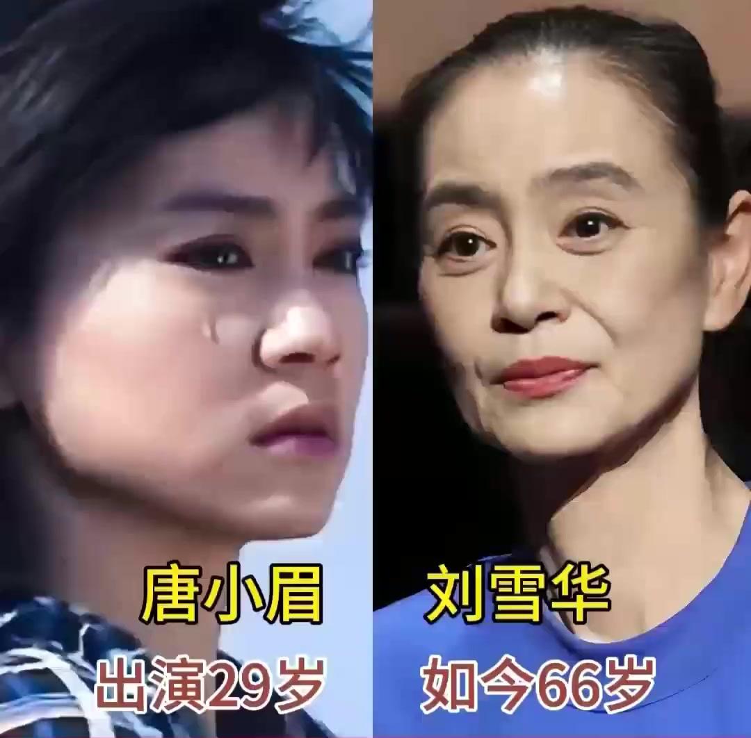 岁月流转，容颜易老。
唯有经典，历久弥新。
致敬《海鸥飞处彩云飞》，致敬我们的青