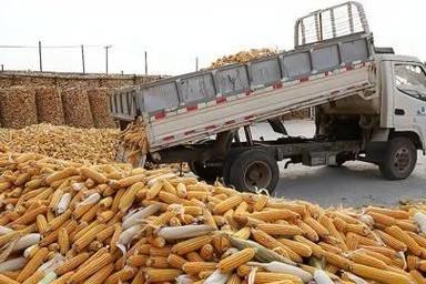 据国家粮食和物资储备局消息，截至目前全国各类粮食经营主体累计收购秋粮已超2亿吨，