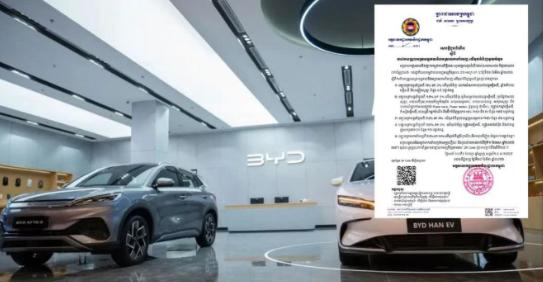 东南亚又放大招了。
柬埔寨宣布，自2026年4月1日起，将对包括电动汽车、充电桩
