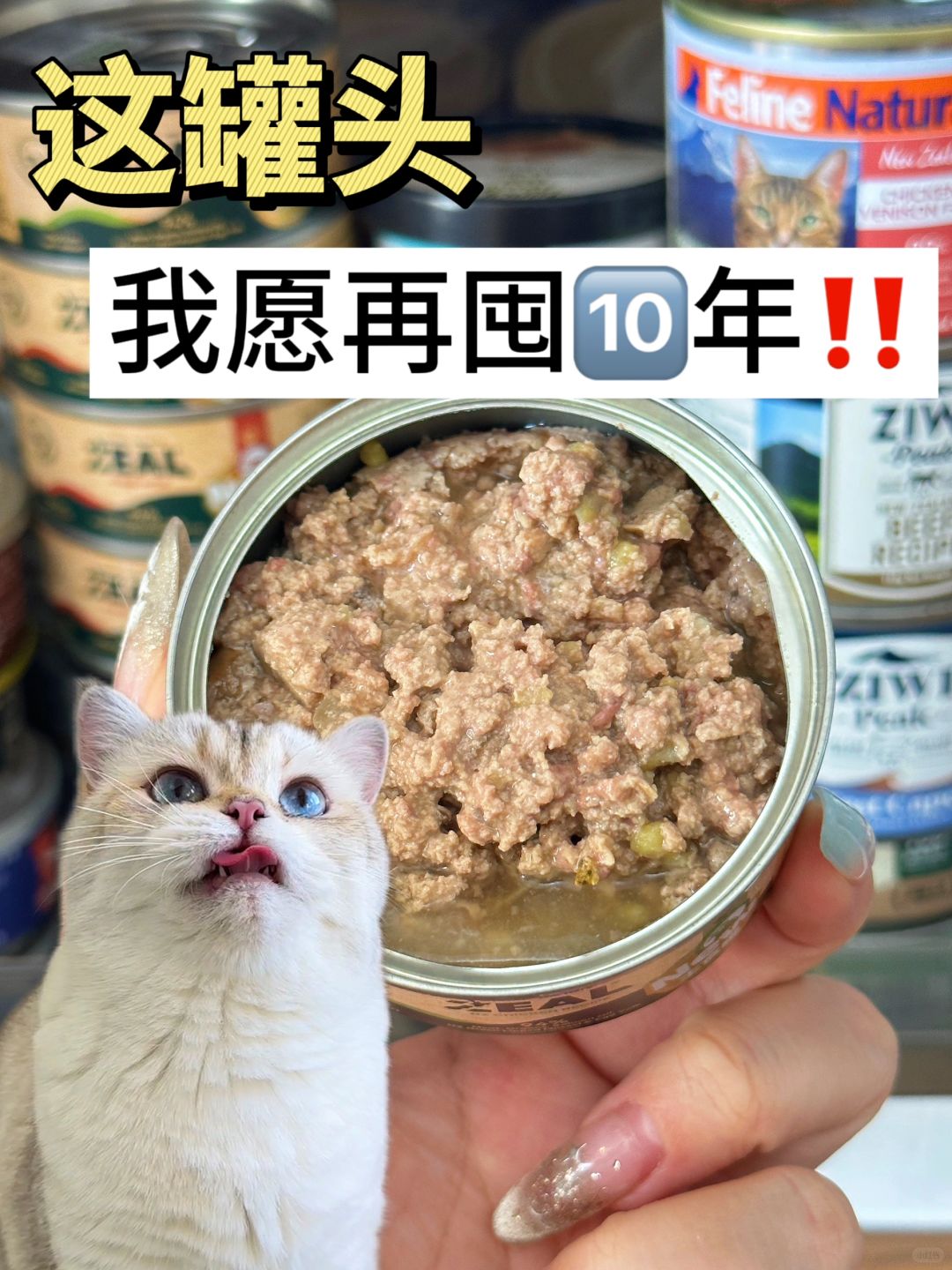 养猫人！会一直囤的罐罐！疯狂上头！