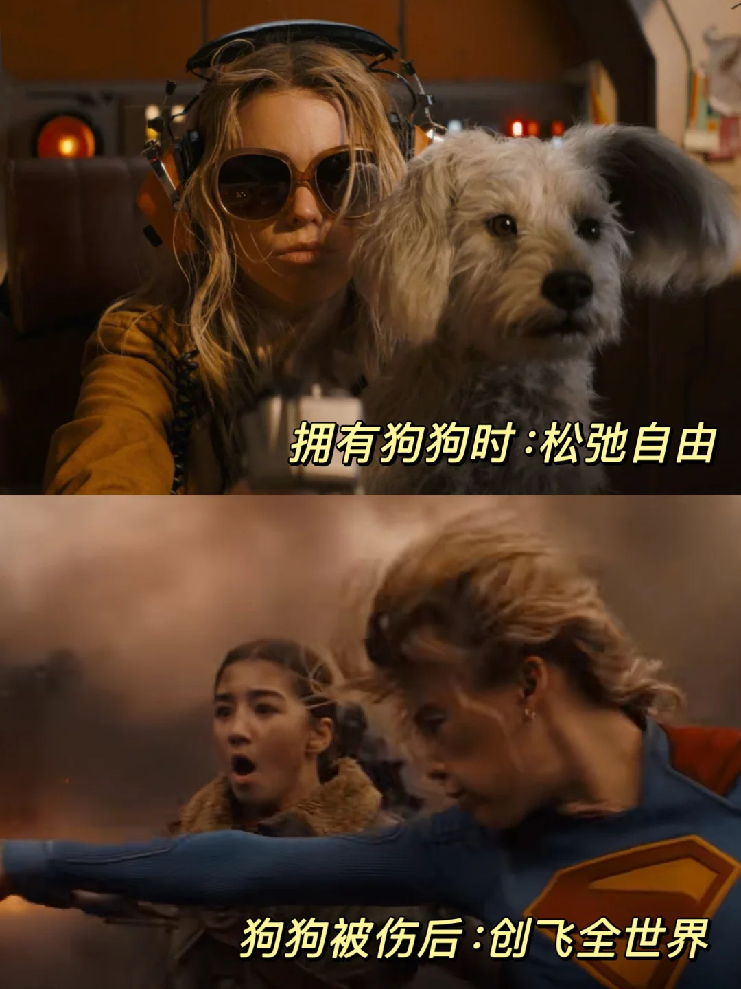 最顶级的勇敢，是为自己的小狗对抗全世界🥹