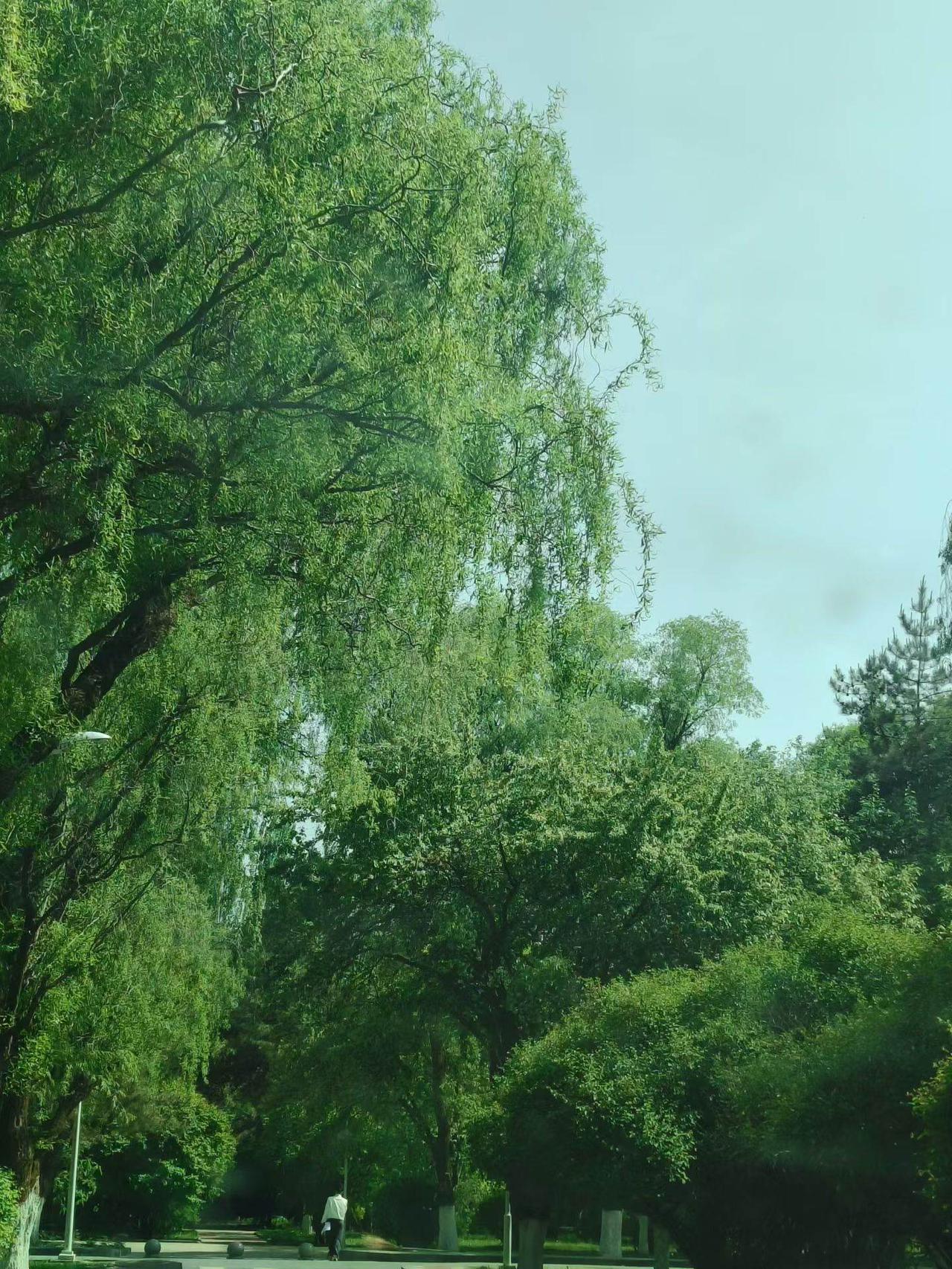 和你在一起，没图你任何以外的东西， 是你一步步把我推开的，我不仅没有对不起你，还