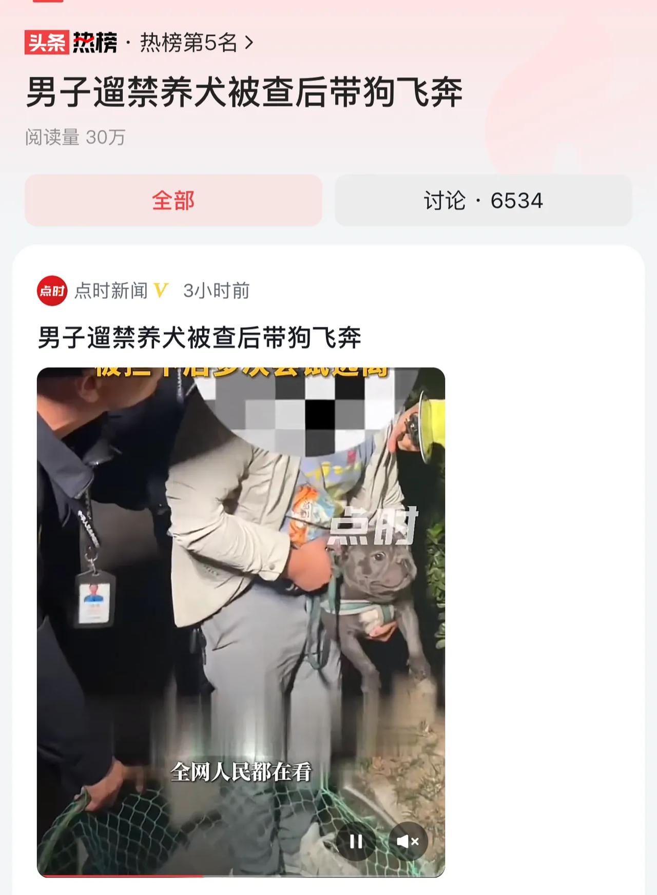 #男子遛禁养犬被查后带狗飞奔#斗牛犬和斗牛梗不是一回事，斗牛犬应该是属于伴侣犬也
