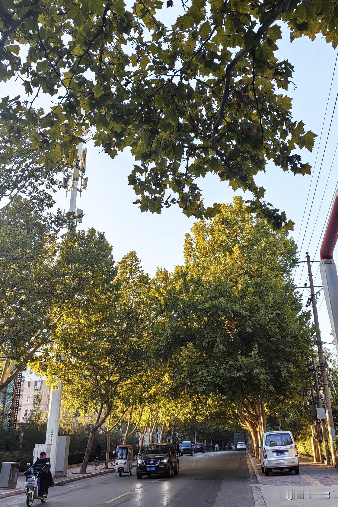 友们上午好！
今天是10月27日，星期一。今天石家庄的空气质量良，今天的天气晴。