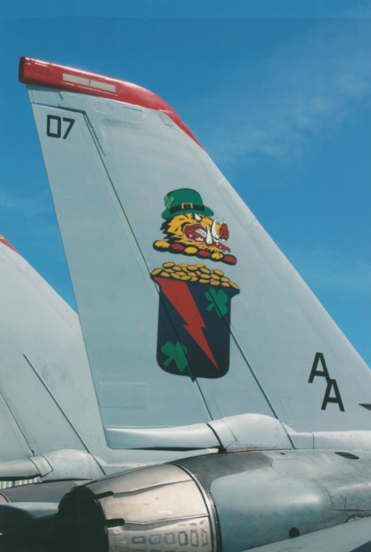 猫宁。VF-11 Red Rippers红色开膛手中队旗下F-14大猫的性感机尾
