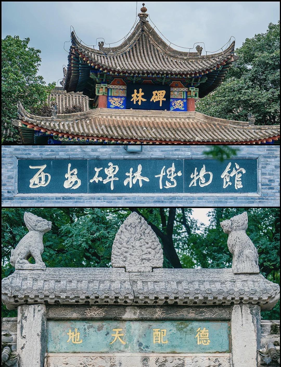碑林是金石文化的活化石，其核心价值在于将脆弱的纸墨书法转化为永恒的石刻基因。从北