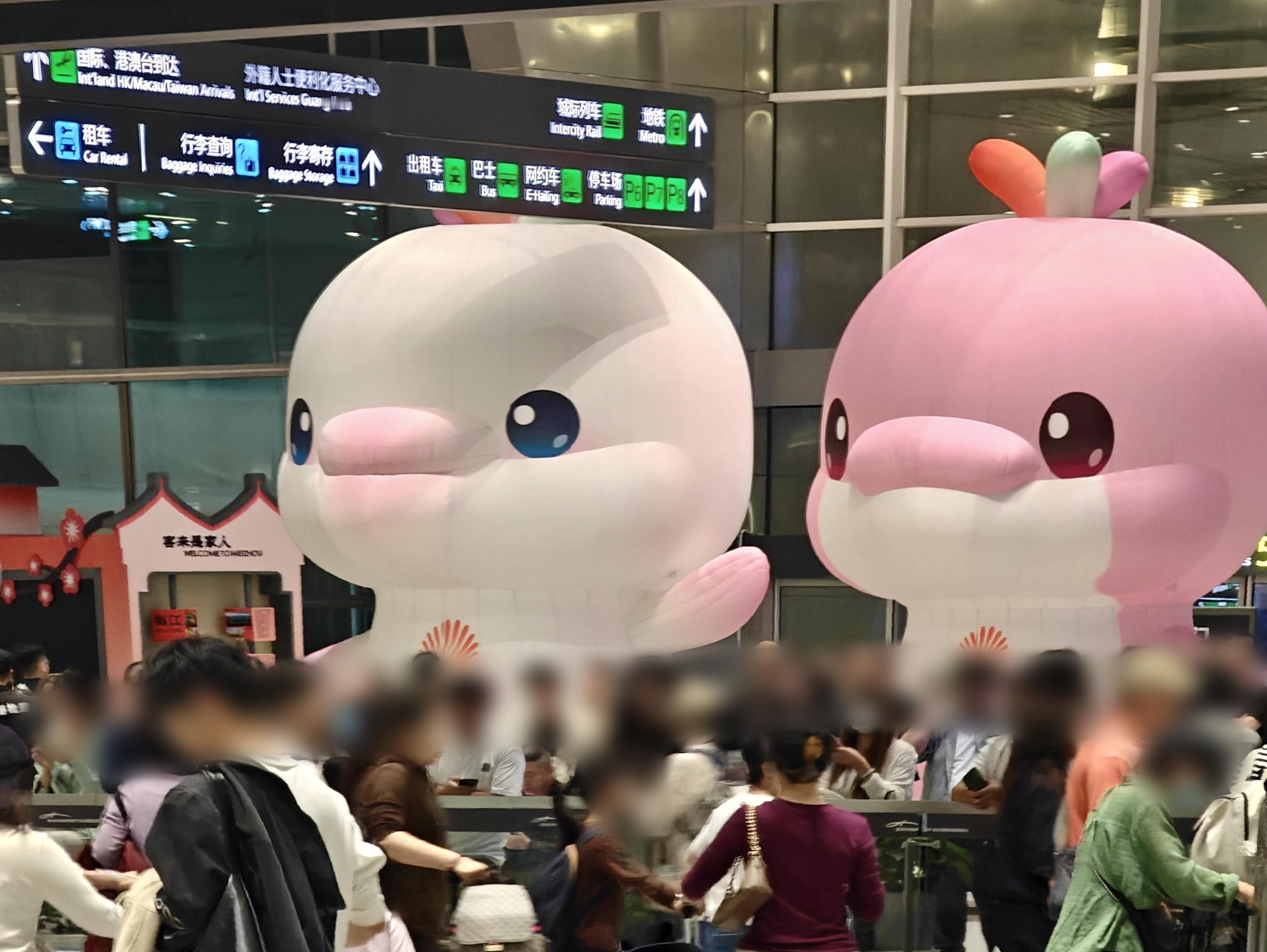 2点钟睡觉，7点醒，根本睡不醒，但是醒了🥱 