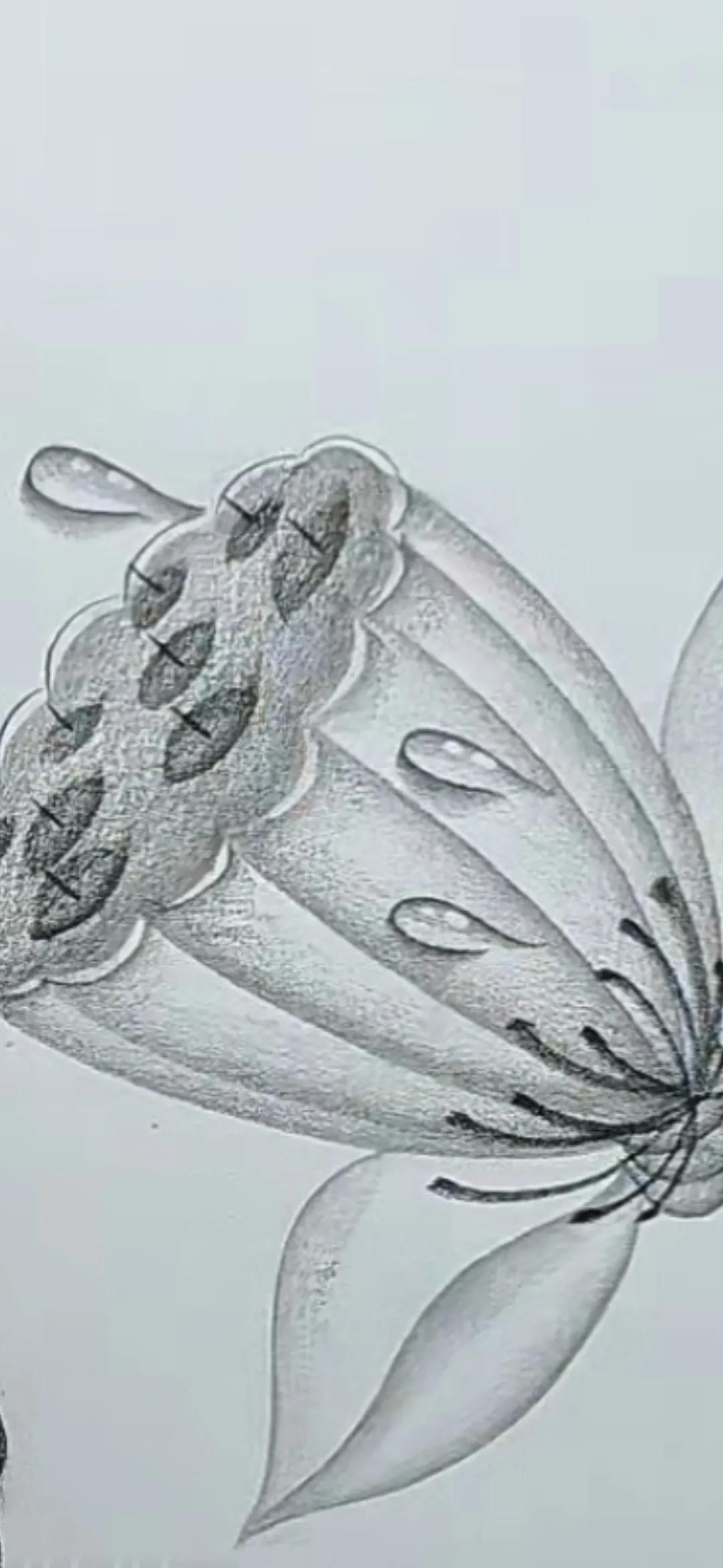 #每天坚持画一幅画#学画