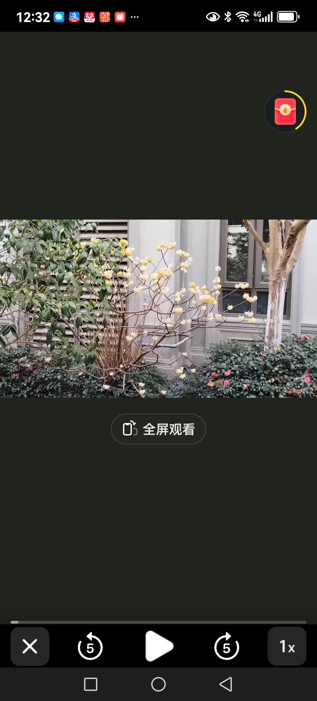 这是昨天中午拍摄的小区内盛开的积香，在阳光的照耀下，那一朵朵积香花宛如繁星般点缀