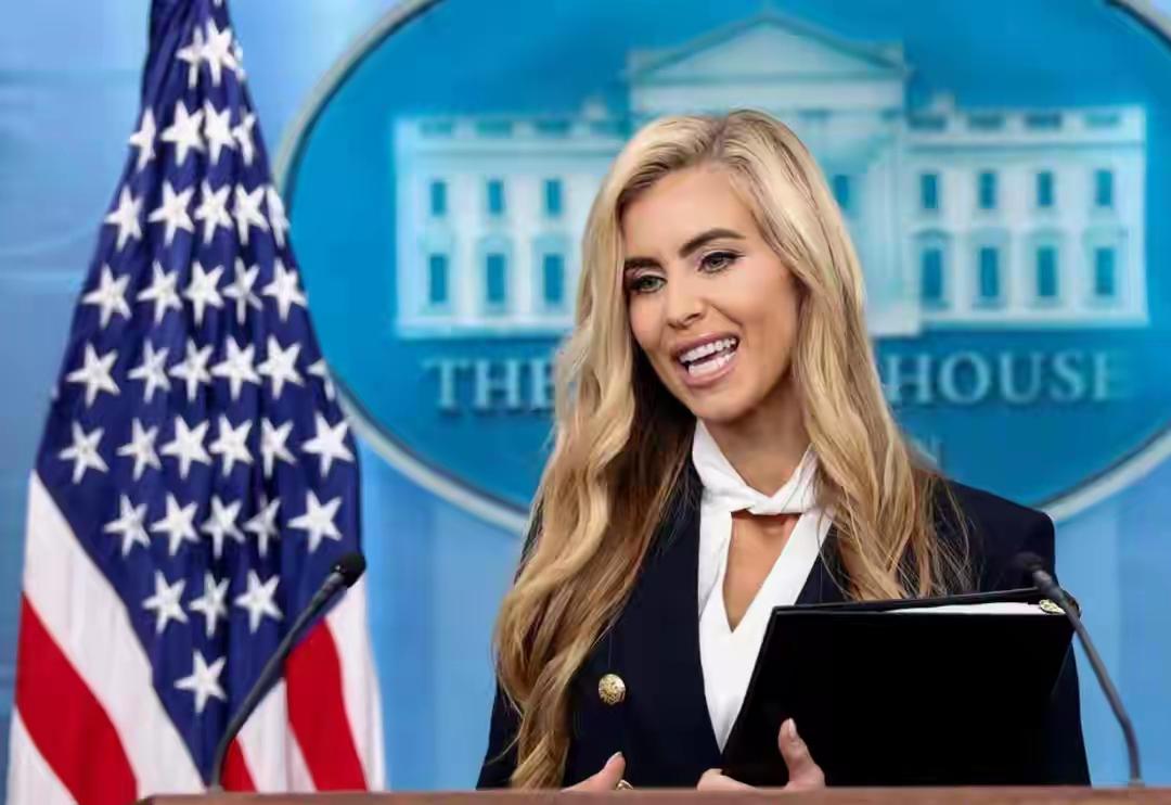 “中国怎么可能成为下一个赶超美国的国家？他们甚至连像样的厕所都没有。”这句话是美